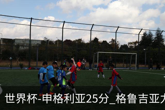 世界杯-申格利亚25分 格鲁吉亚力克委内瑞拉
