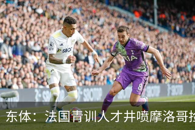 东体：法国青训人才井喷摩洛哥捡便宜，争取布阿迪时展现极大诚意