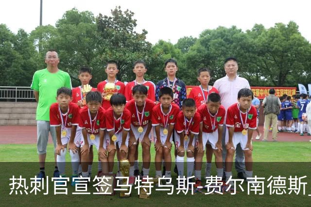 热刺官宣签马特乌斯-费尔南德斯 转会费8500万镑破纪录